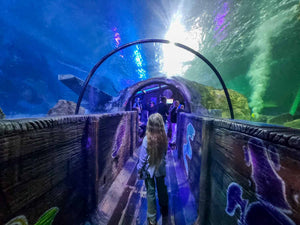 Blackpool Member's Trip